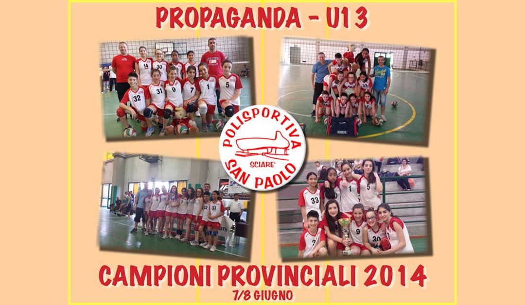 Campioni provinciali 2014!